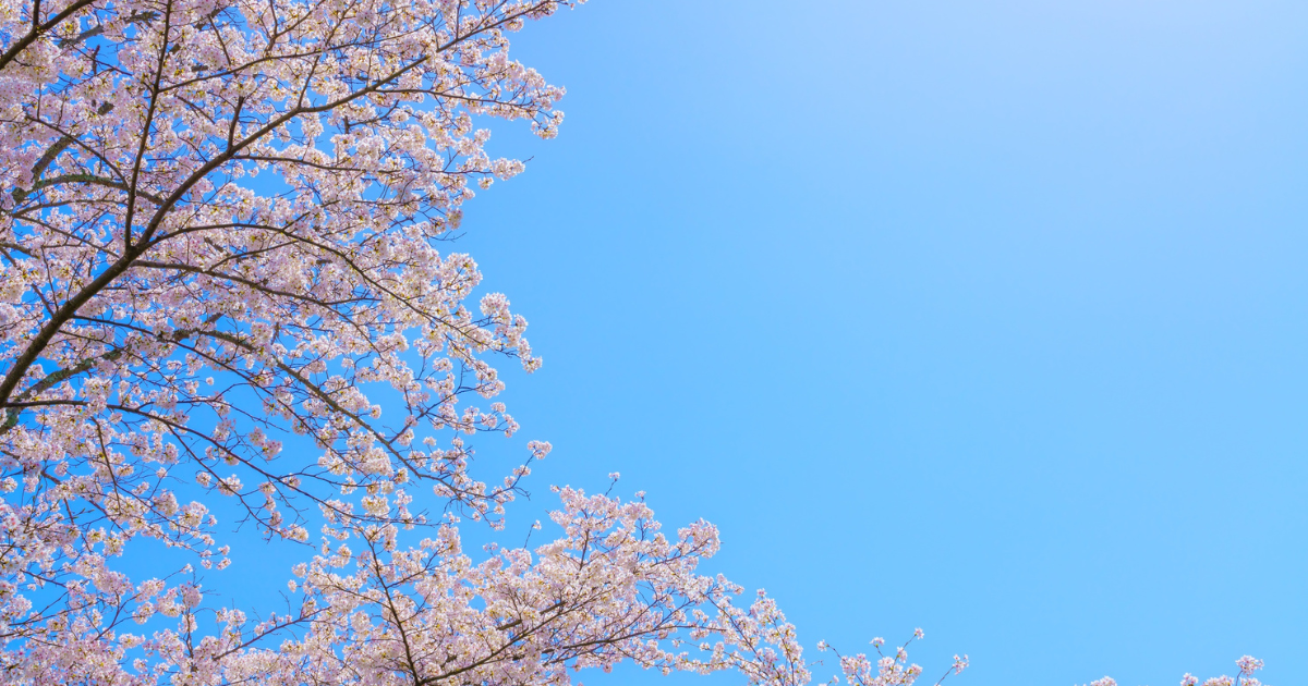 Garden background for FAQ section